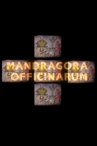 Mandragora officinarum poster
