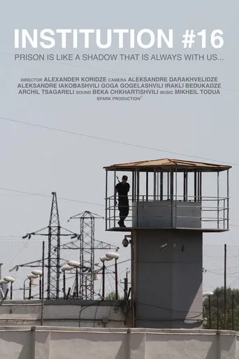 Institution #16 poster