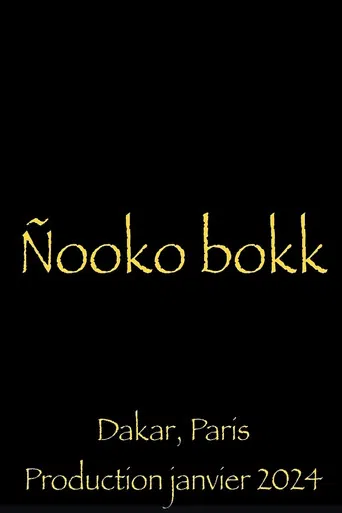 Nooko Bokk poster