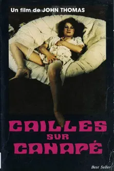 Cailles sur canapé poster