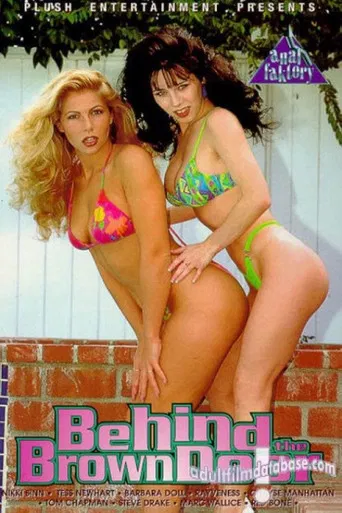 Behind the Brown Door poster