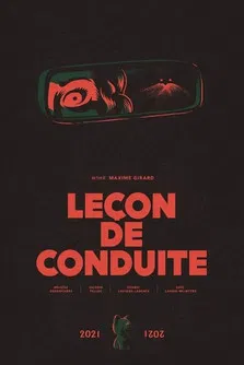 Driving Lesson poster