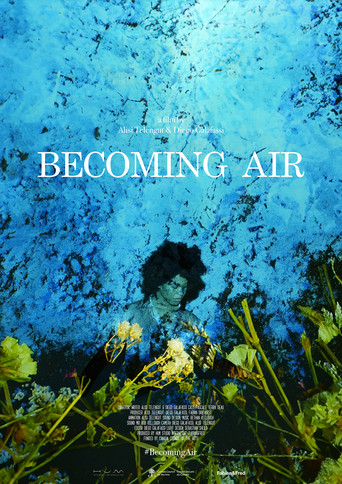 Becoming Air poster