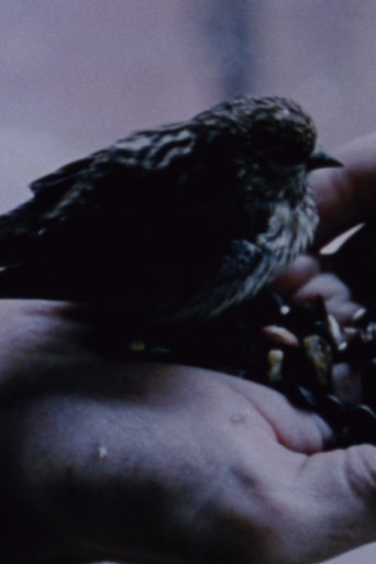 Gathering Moss poster