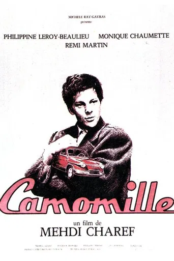 Camomille poster