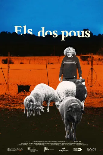 The two wells poster