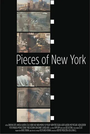 Pieces of New York poster