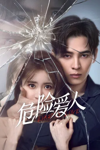Liar's Love poster