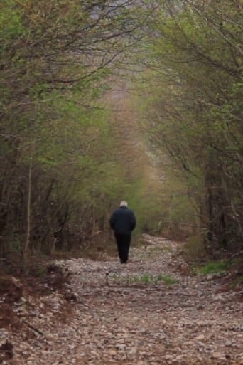 Branches and Roots poster