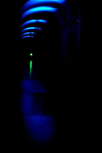 Mi atribulada situación actual poster