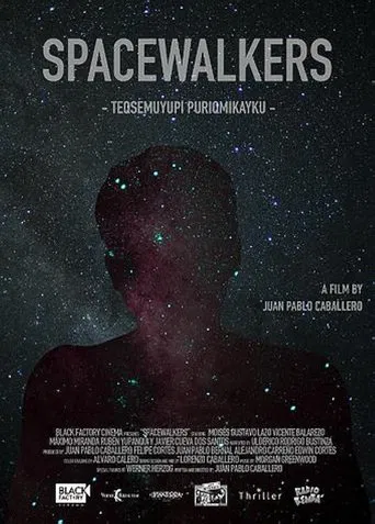 Spacewalkers poster