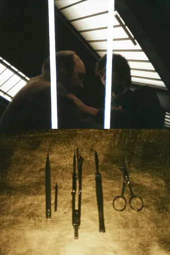 The Count of Days poster