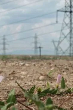 Disaster Theories: Our Planet in Flames poster