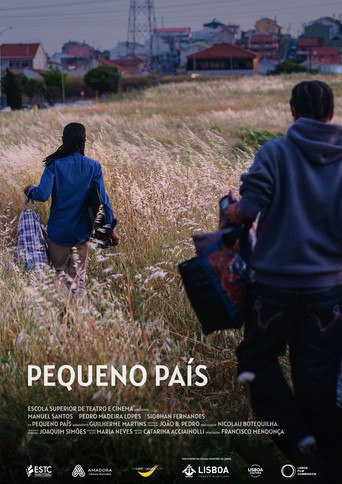 Pequeno País poster