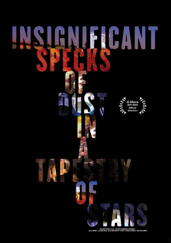 Insignificant Specks of Dust in a Tapestry of Stars poster