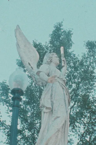 How old do you want to be when you die? poster