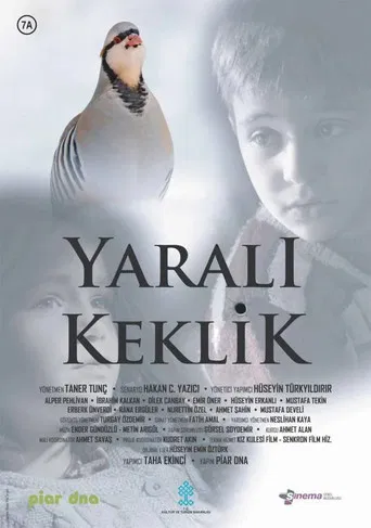 Yaralı Keklik poster