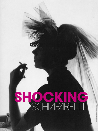 Shocking Schiaparelli! poster