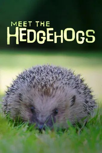 Meet the Hedgehogs poster
