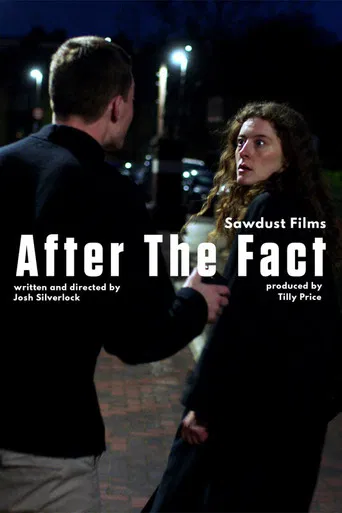 After the Fact poster