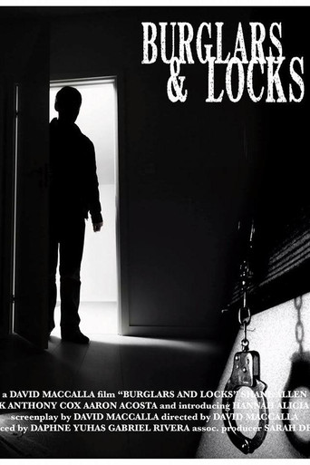 Burglars & Locks poster