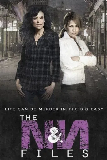Nikki & Nora: The N&N Files poster