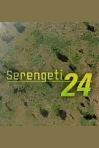 Serengeti 24 poster