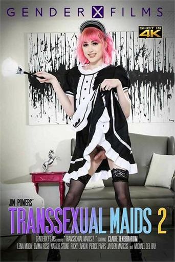 Transsexual Maids 2 poster