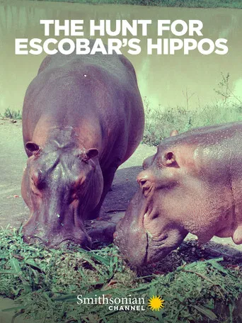 The Hunt for Escobar's Hippos poster