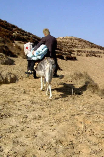 The Half Hitching Post poster