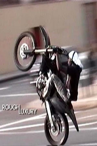 Rough Luxury poster
