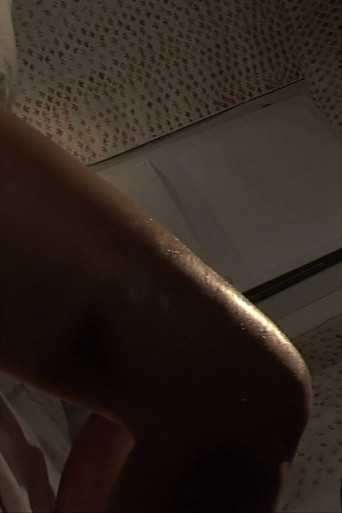 Body Double 25 poster