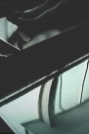 Sane Impression 2 poster