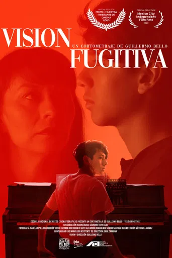 Fugitive Vision poster