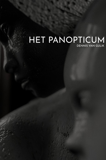Het Panopticum poster