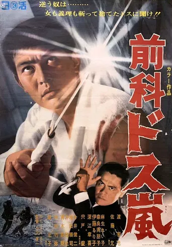 Ex Convict: Sword Storm poster