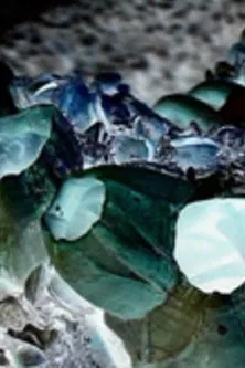 Ecosystem 14 ~ Stay poster