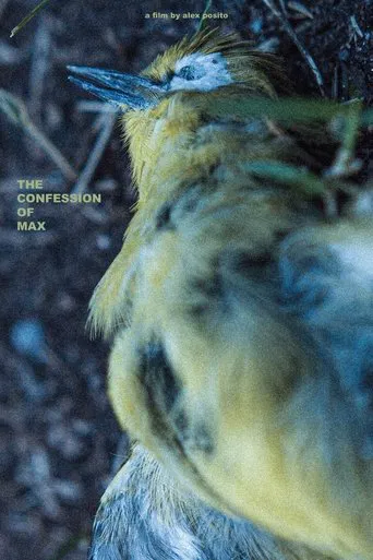The Confession of Max poster