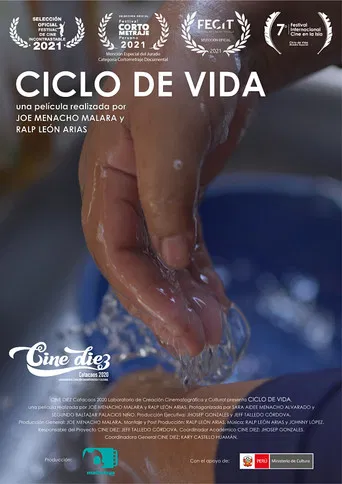 Ciclo de Vida poster
