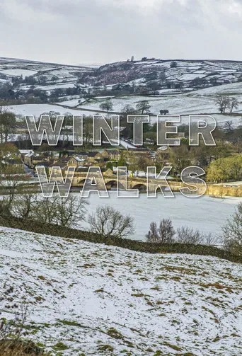 Winter Walks poster