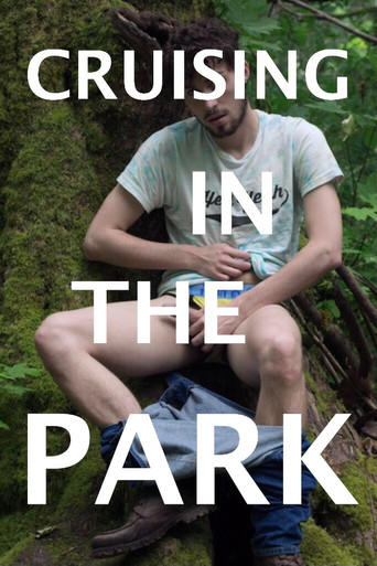 Cruising in the Park poster
