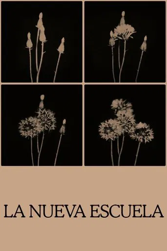 The New School poster