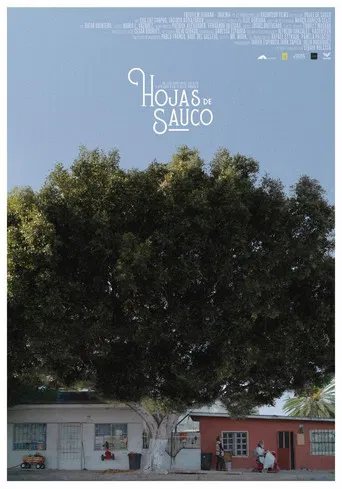 Hojas de Sauco poster