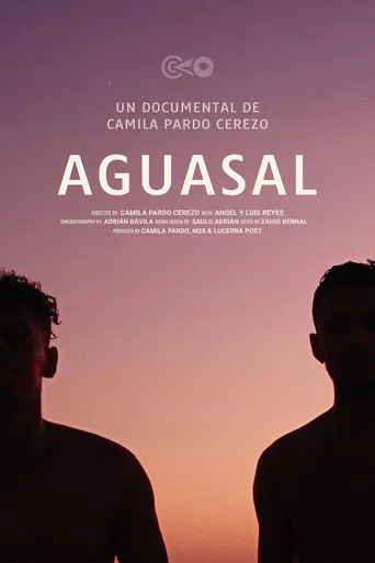Aguasal poster