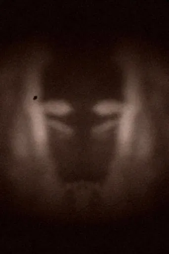 L’effet miroir poster