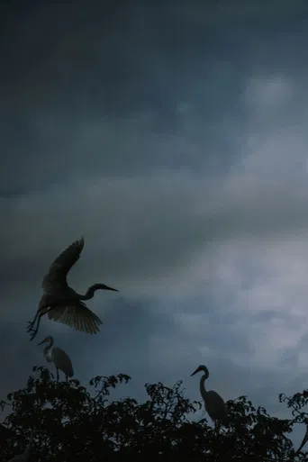 Avant la nuit poster