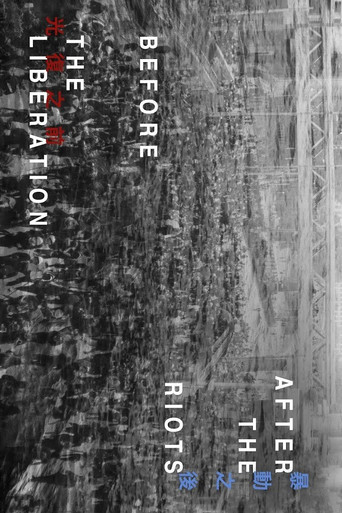 After the Riots, Before the Liberation poster