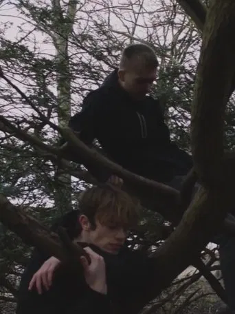 The Remaining poster