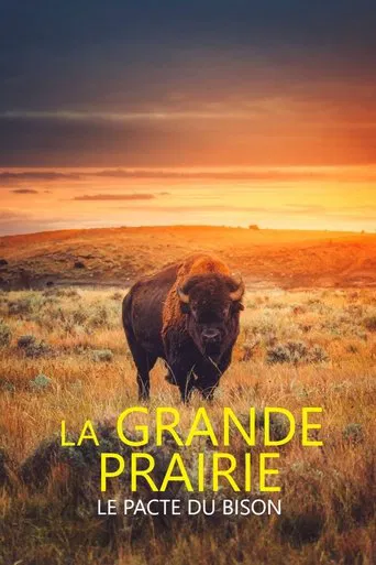 La grande prairie, le pacte du bison poster