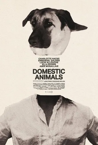 Domestic Animals poster